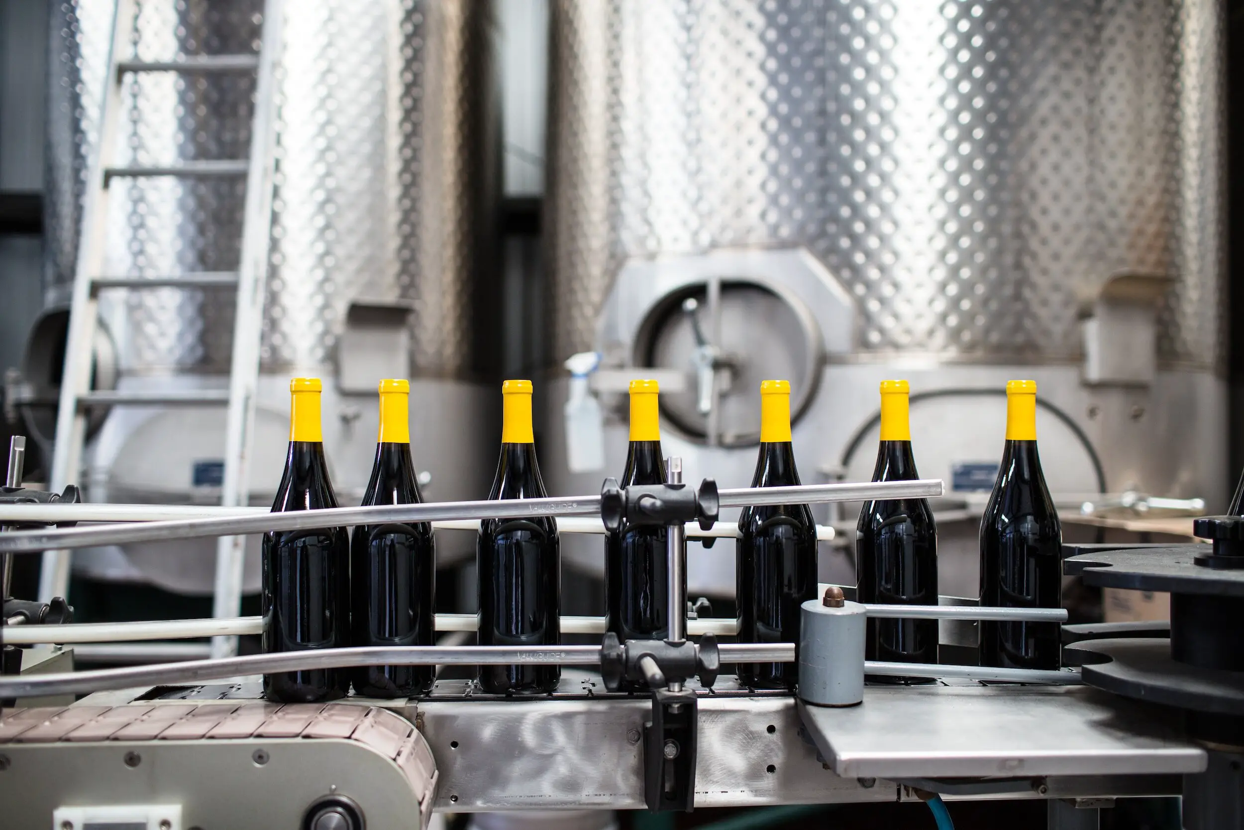 tempranillo vs garnacha - wine bottles in winery
