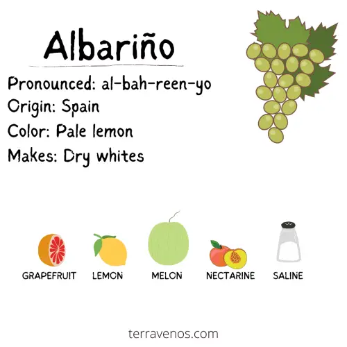 albarino wine profile infographic - albarino vs verdejo