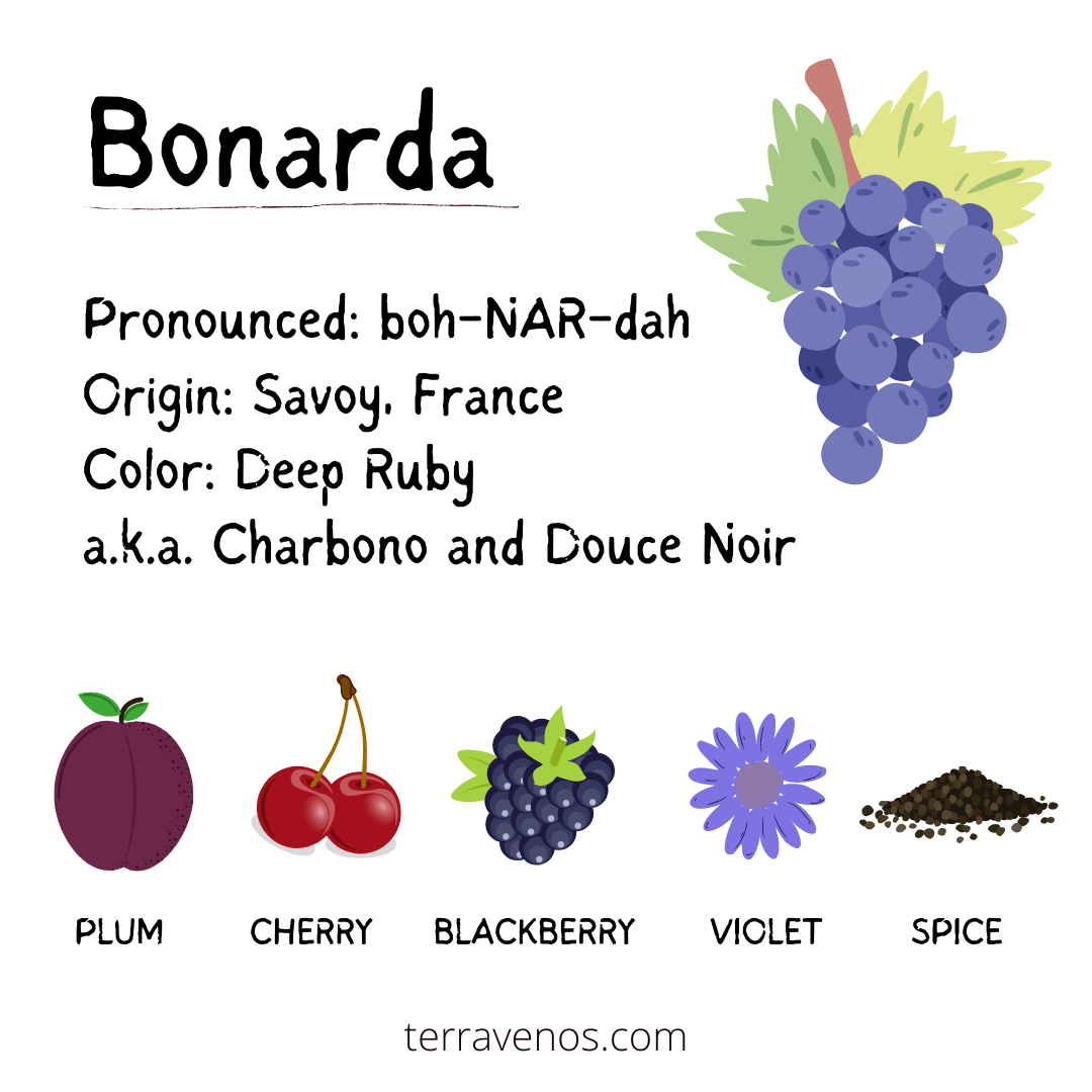 Bonarda wine profile infographic