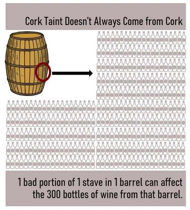 CorkTaintBottles