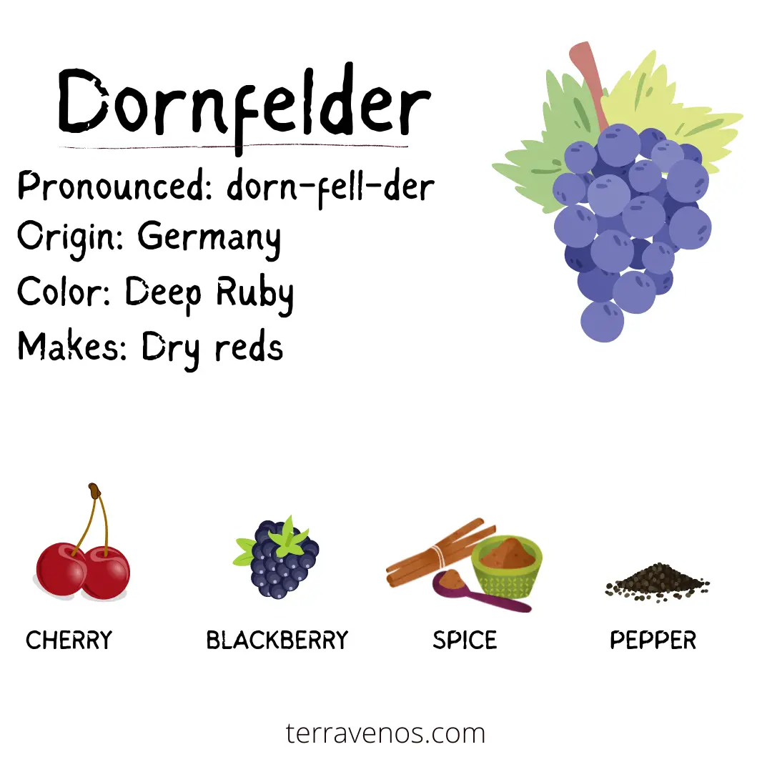 dornfelder wine infographic - light red wines