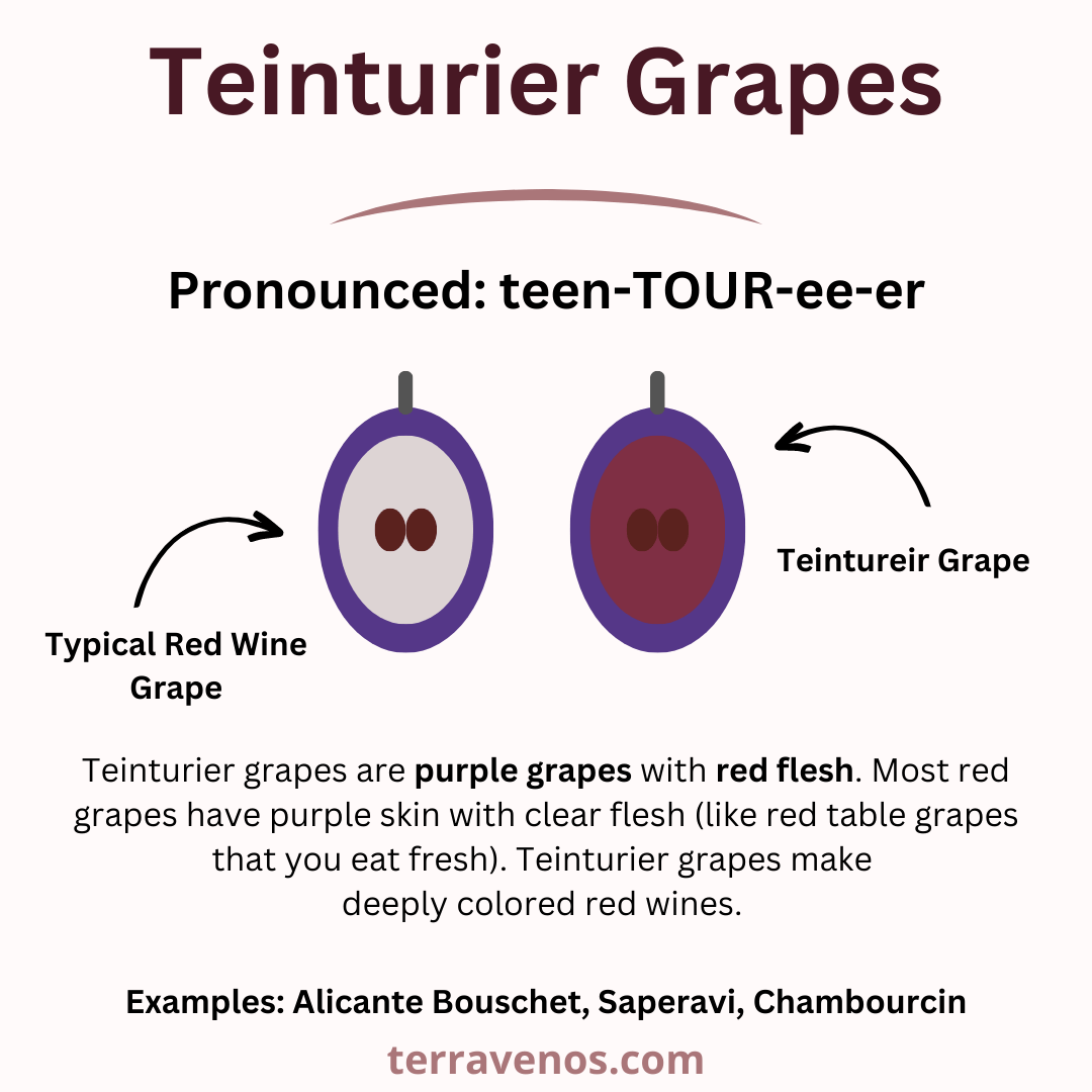 teinturier grape infographic - best wines for halloween