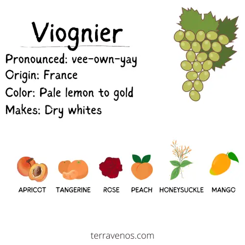 viognier wine profile inforgaphic - what wine tastes like fruit