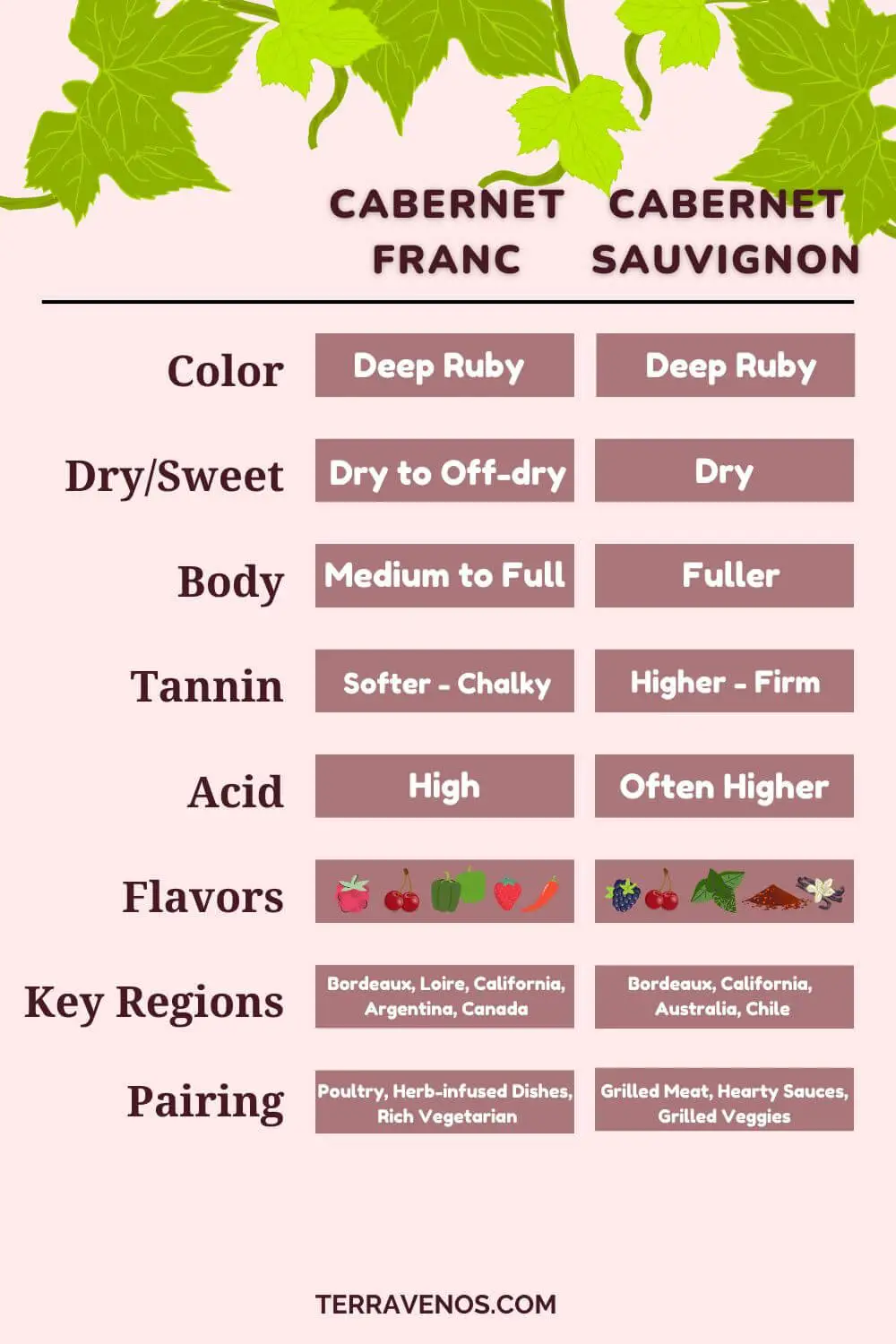 cabernet franc vs cabernet sauvignon comparison infographic 