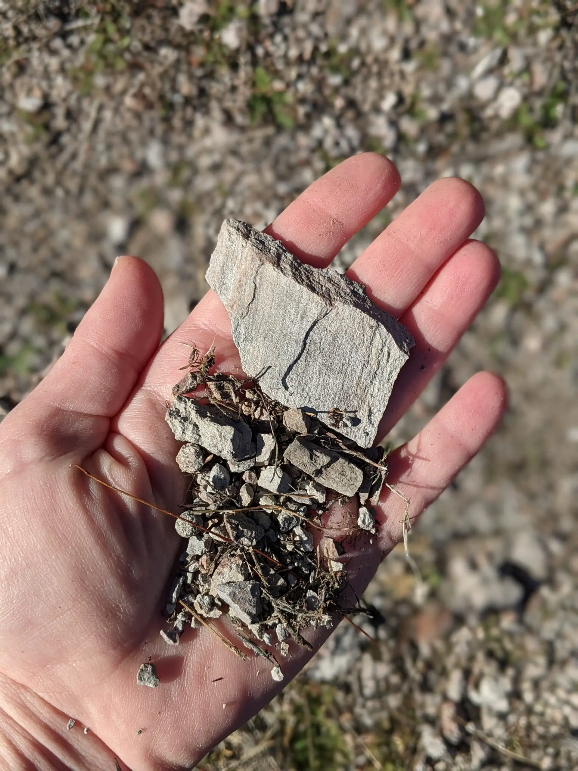 vineyard soil - rocks