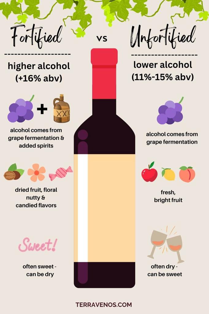 A Comprehensive Guide to Fortified Wine and Its Types