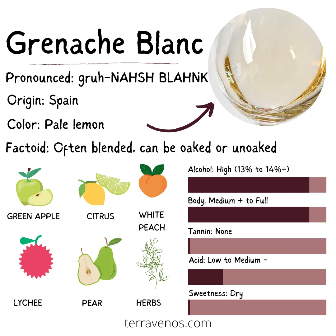 grenache blanc wine profile infographic - white spanish wines