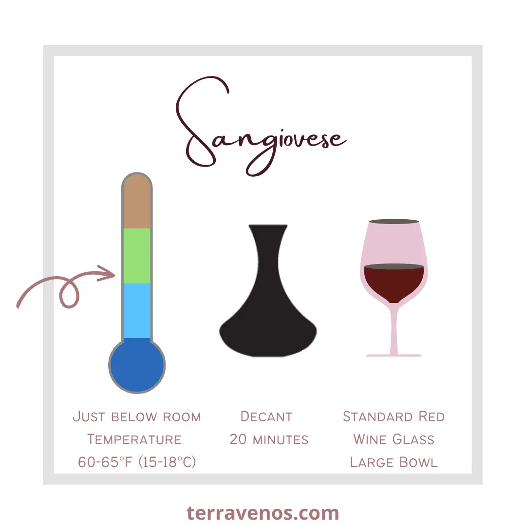 sangiovese-wine-guide-how-to-serve-sangiovese-wine-guide