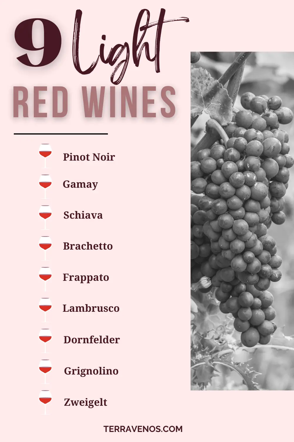 what are light red wines - infographic
