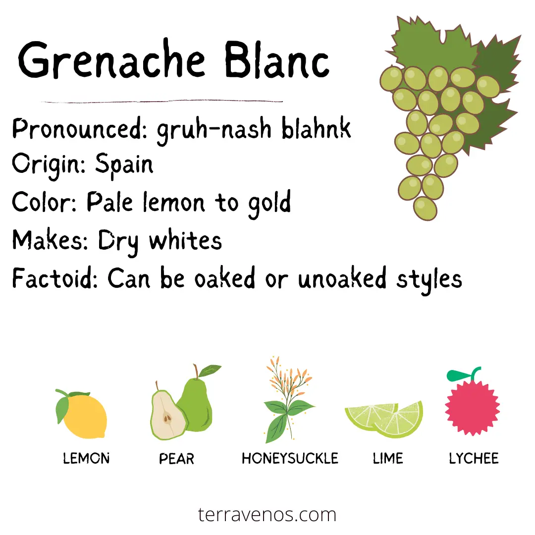 dry white wine - grenache blanc wine profile infographic