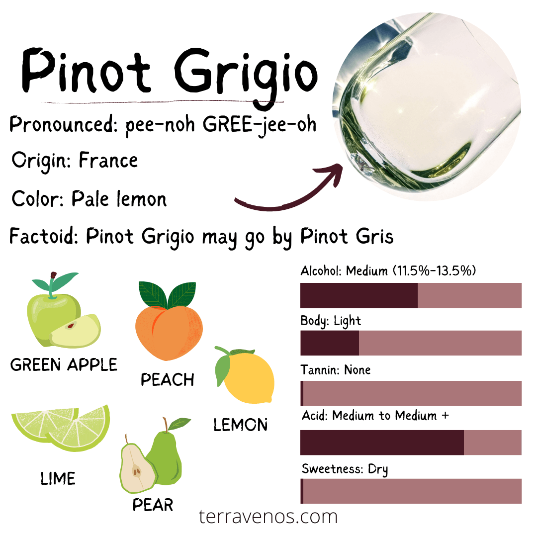 what is white wine made of - pinot grigio wine profile infographic