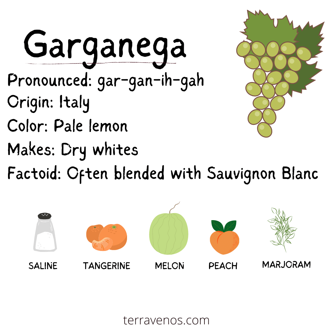 what is white wine made of - garganega soave