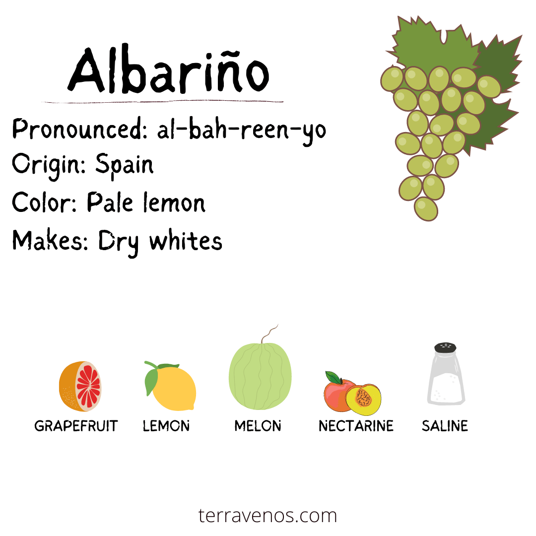 what's white wine made of - albarino
