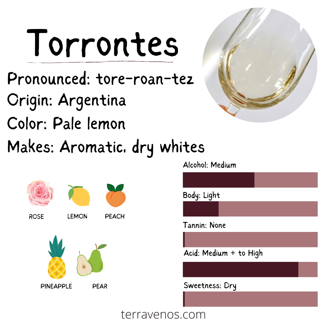 what is white wine made of - torrontes wine grape profile infographic
