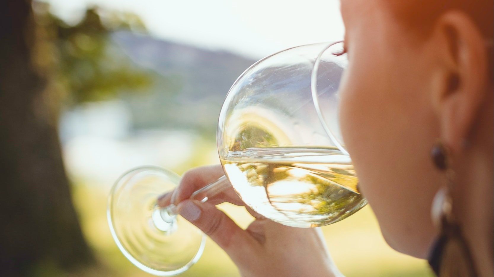 ways to save money buying wine - white wine glass