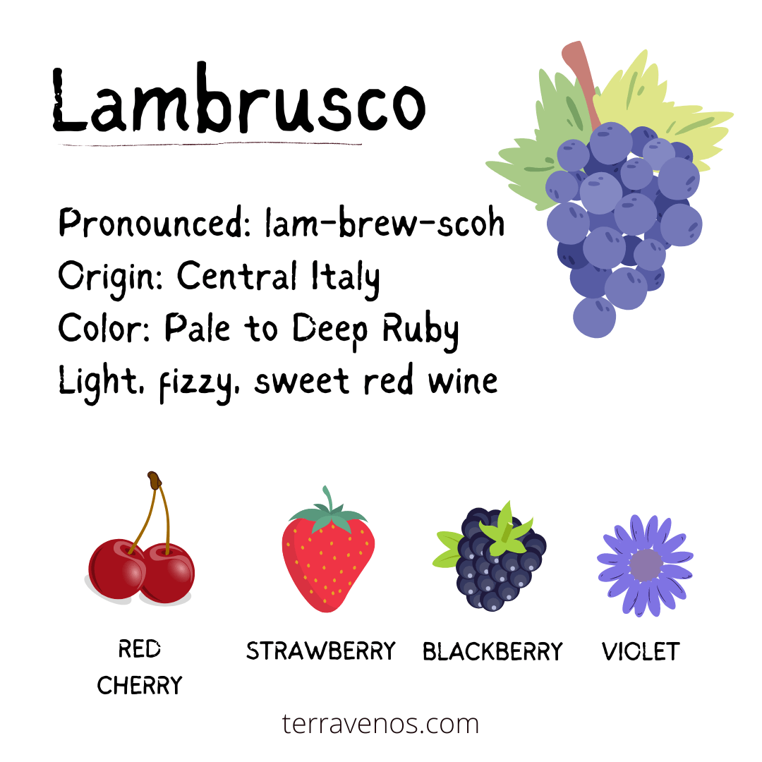 lambrusco wine tastes like fruit