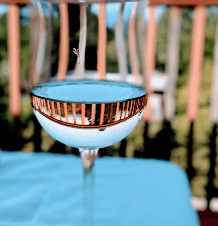 wine tasting with food - wine glass