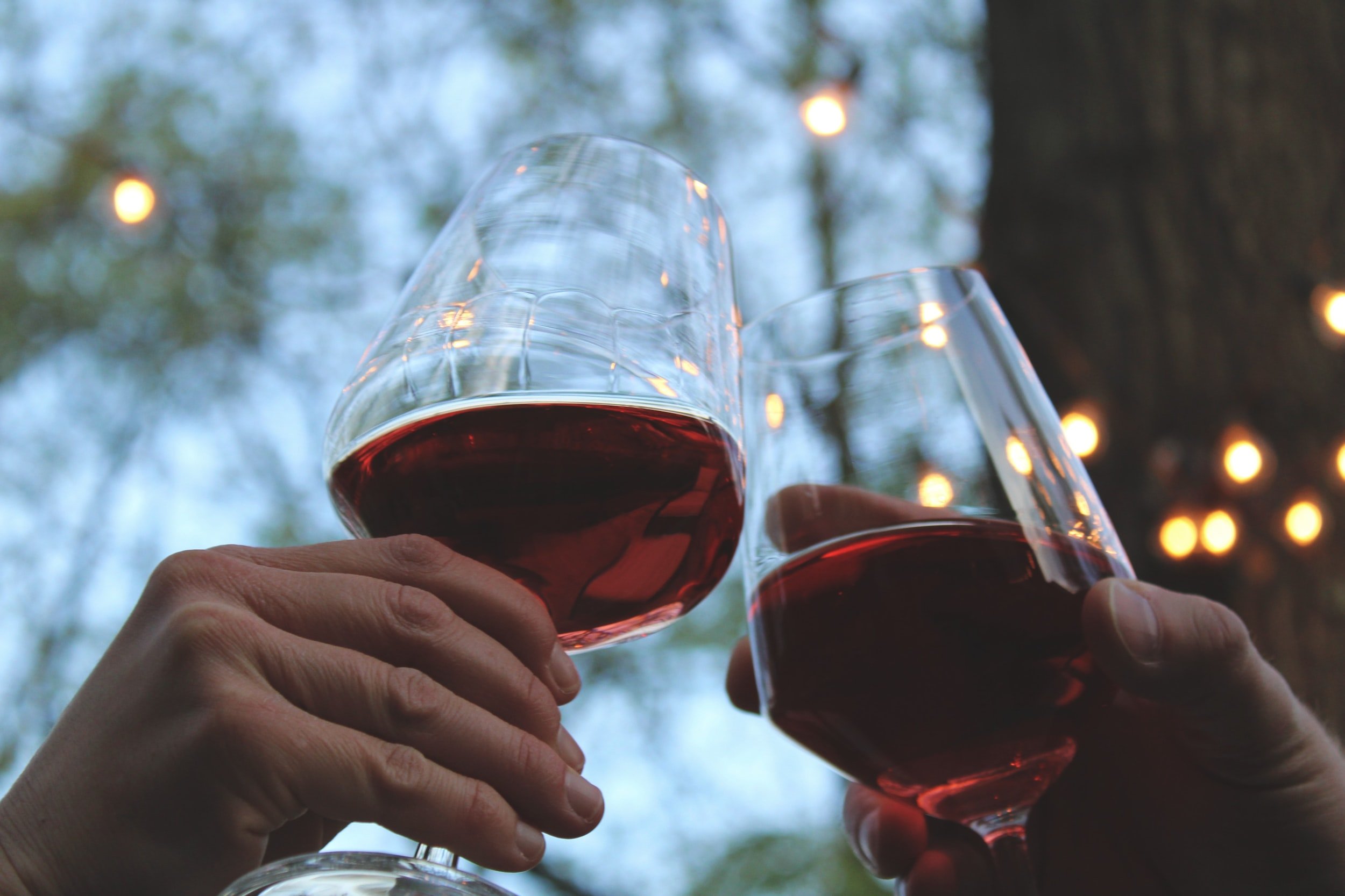 Best Red Wine for Casual Drinking