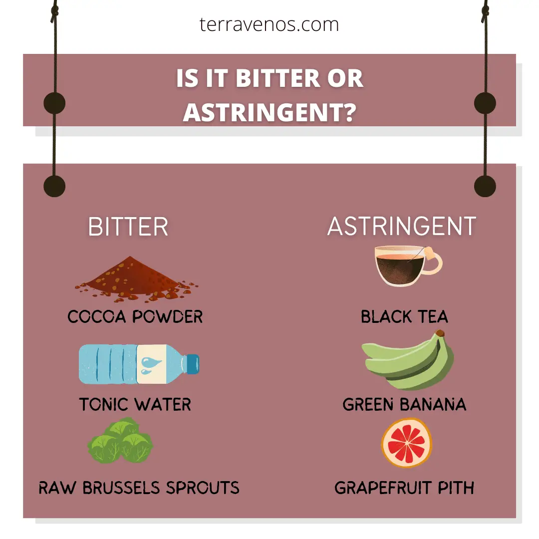 is your food bitter or astringent infographic - bitter wine