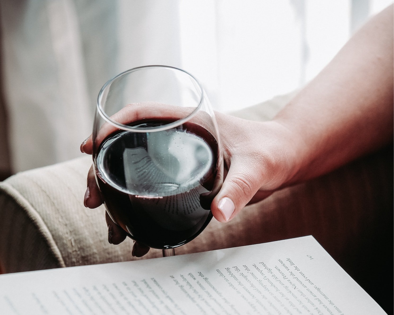 merlot wine price - red wine and reader