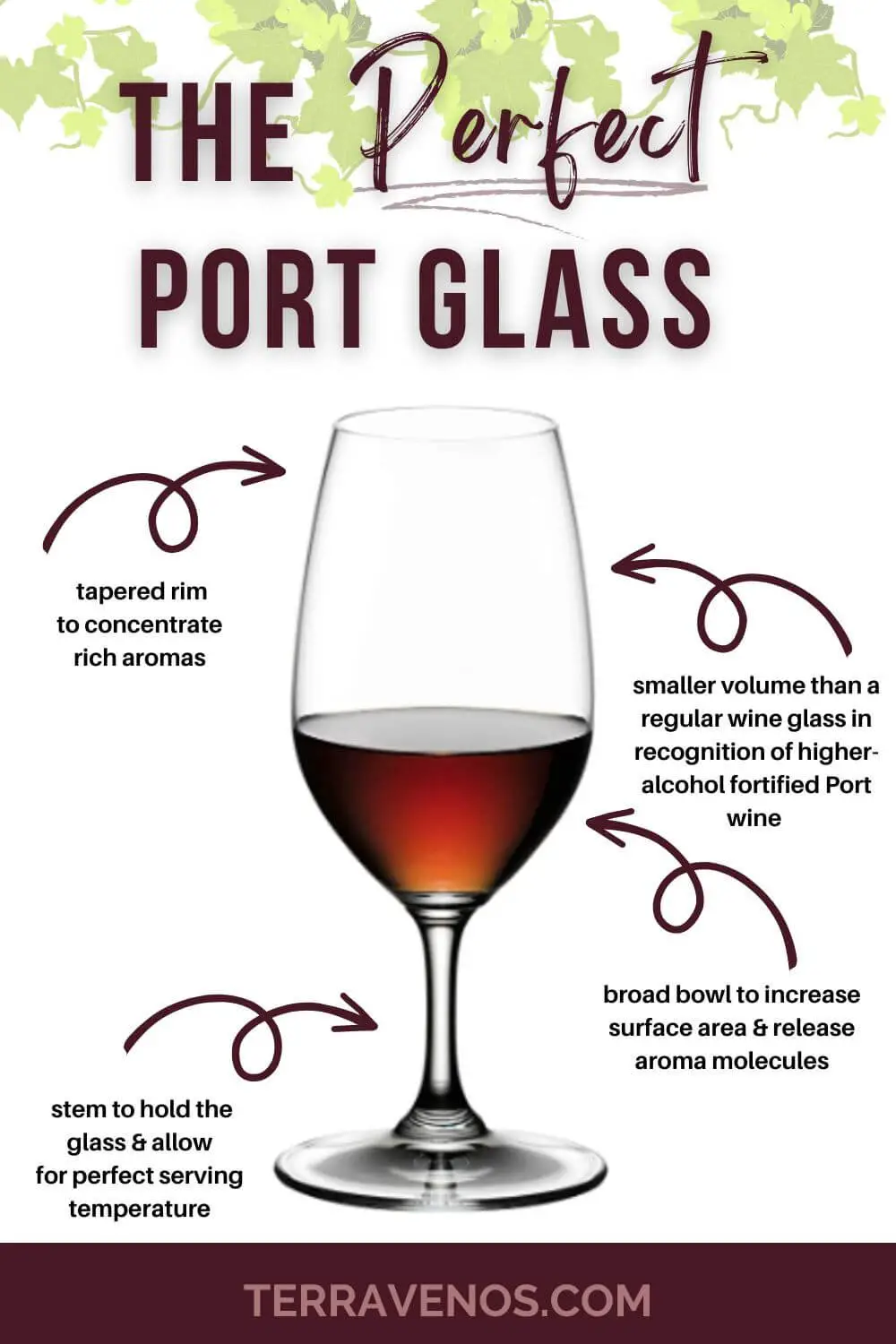 best port wine glasses - port wine glasses infographic