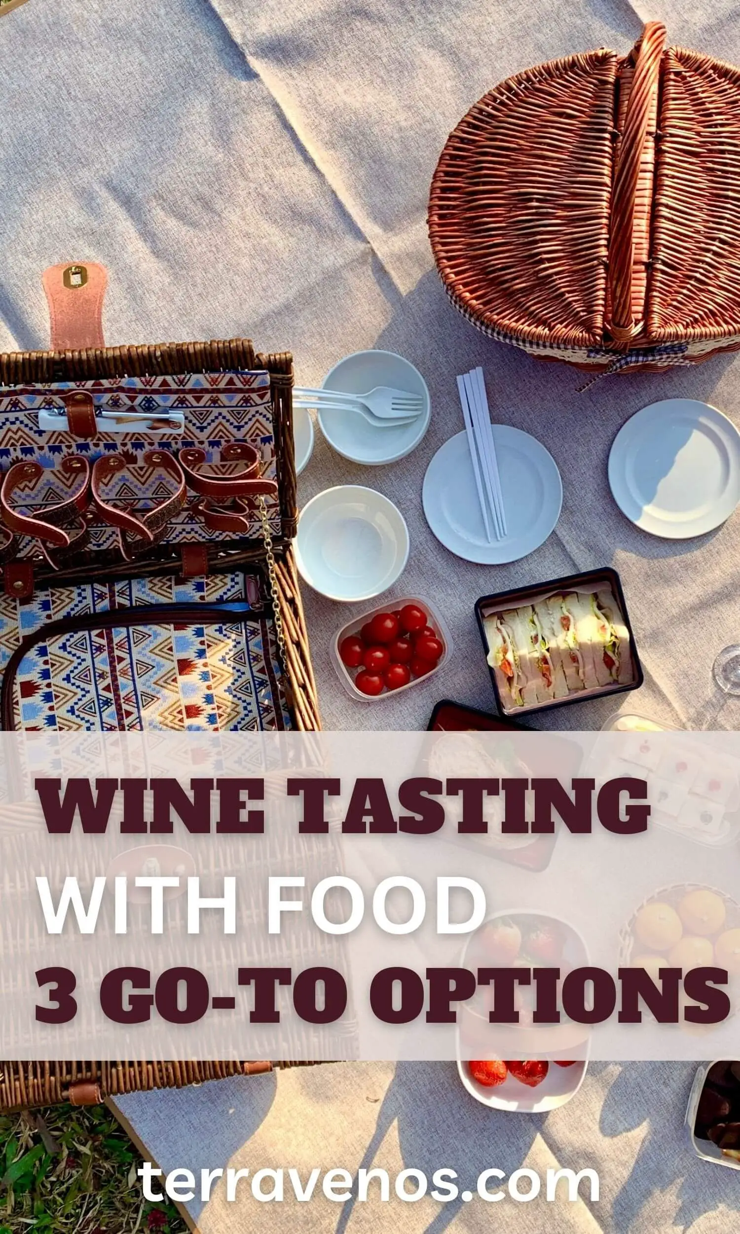 wine tasting with food - options