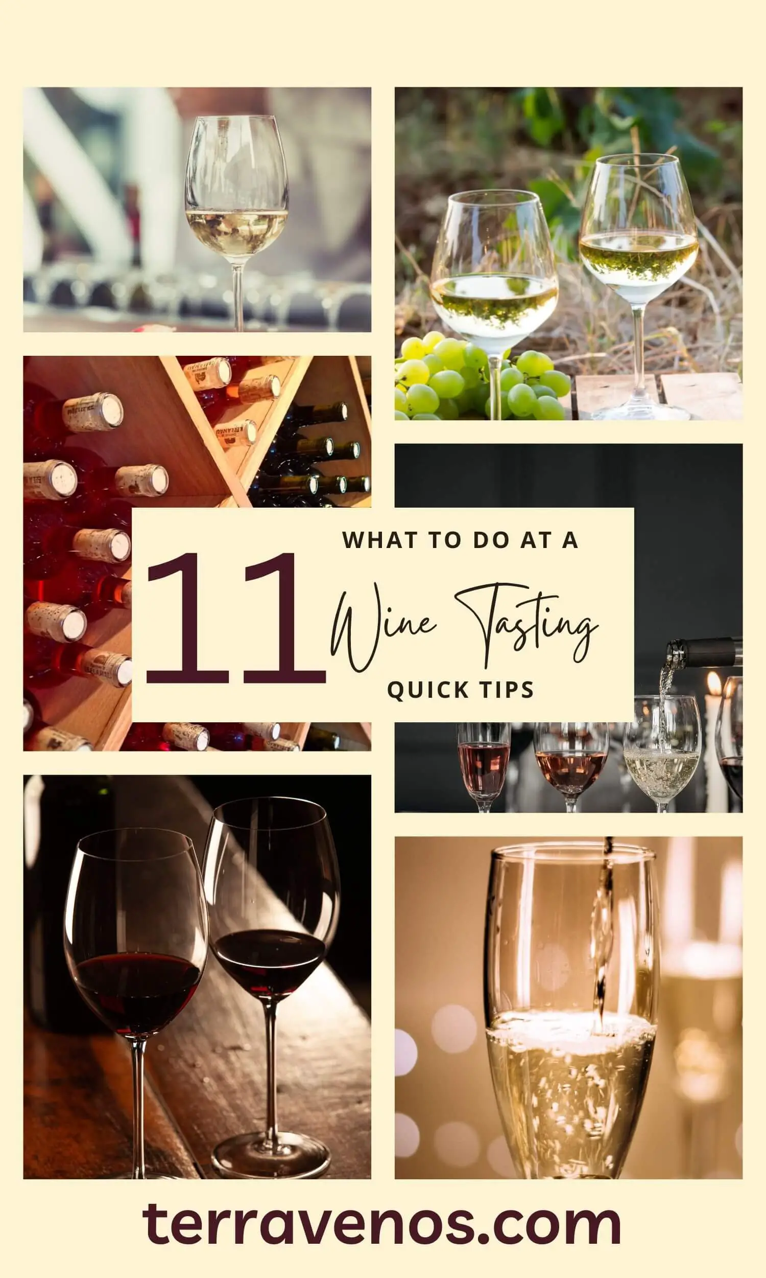 what-should-i-do-at-a-wine-tasting - what to do at a wine tasting