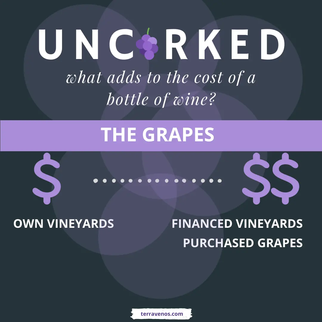 what determines the price of a bottle of wine - grape cost