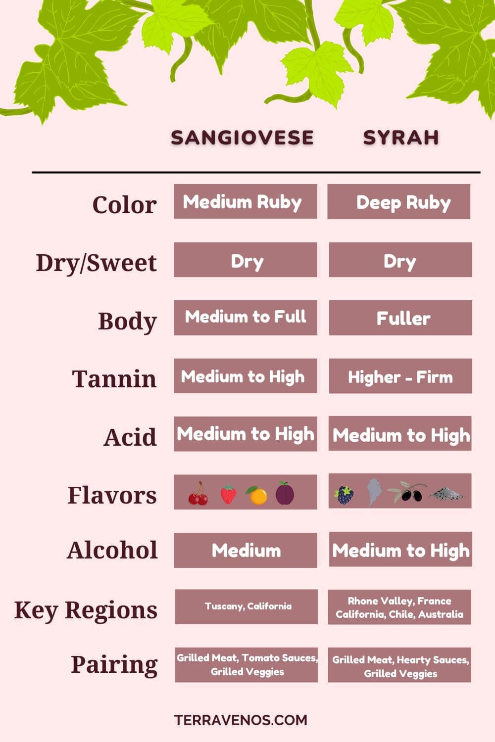 sangiovese vs syrah wine comparison infographic