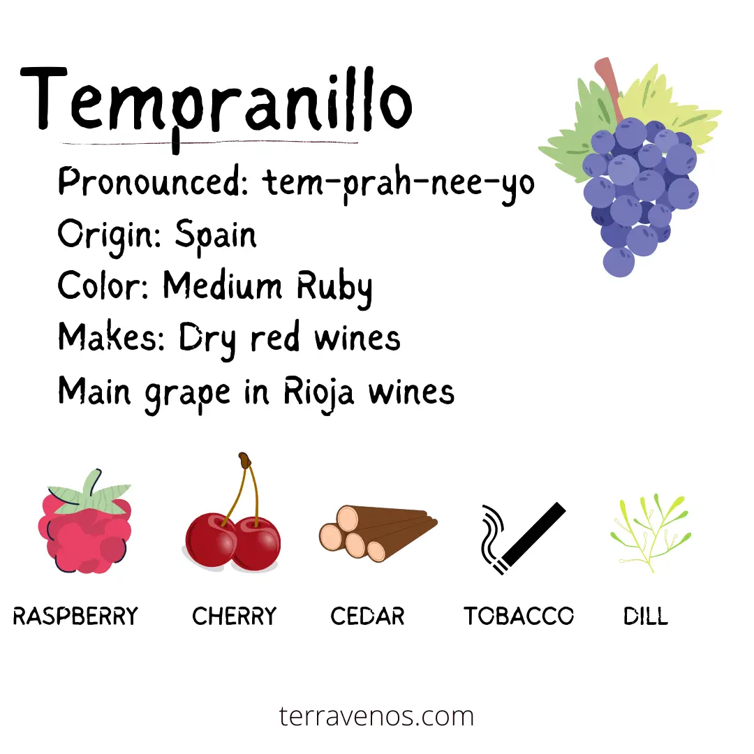 what wine tastes like strawberries - tempranillo profile