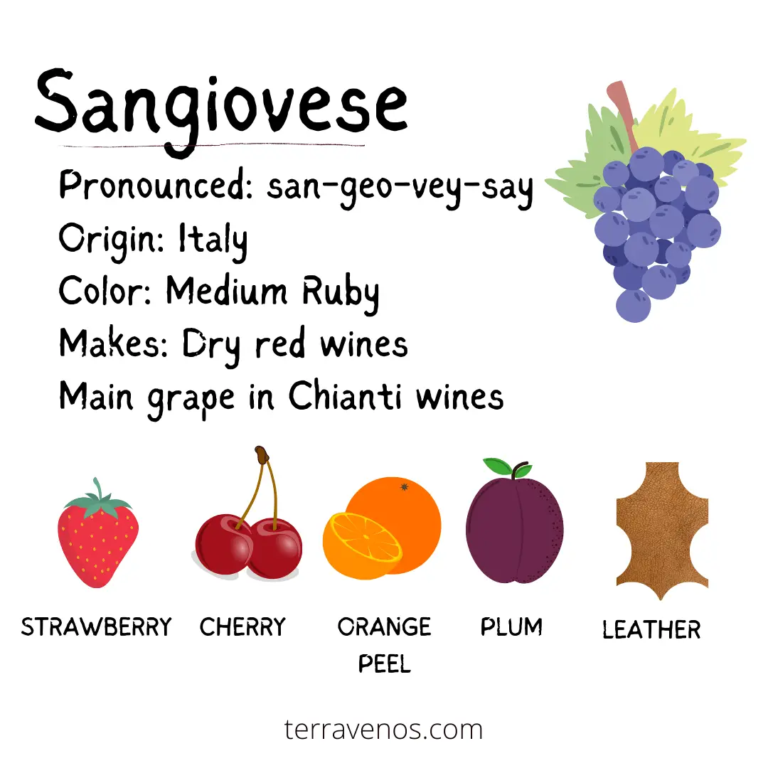 what wine tastes like strawberries - sangiovese wine profile infographic