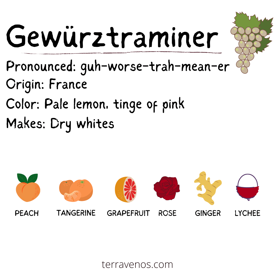 Gewurztraminer wine infographic - gewurztraminer wine guide