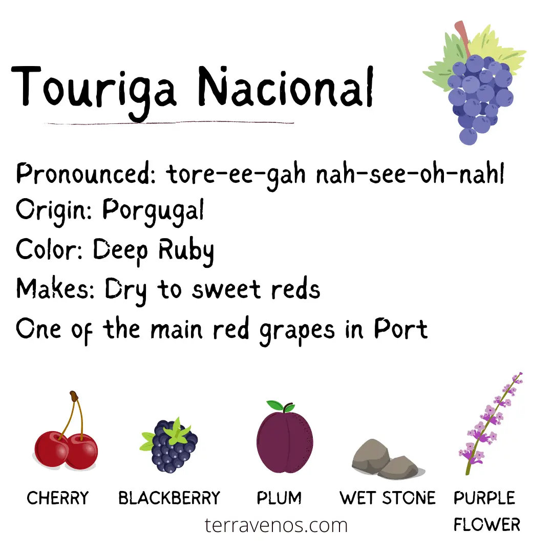 Touriga Nacional Strong Red wine