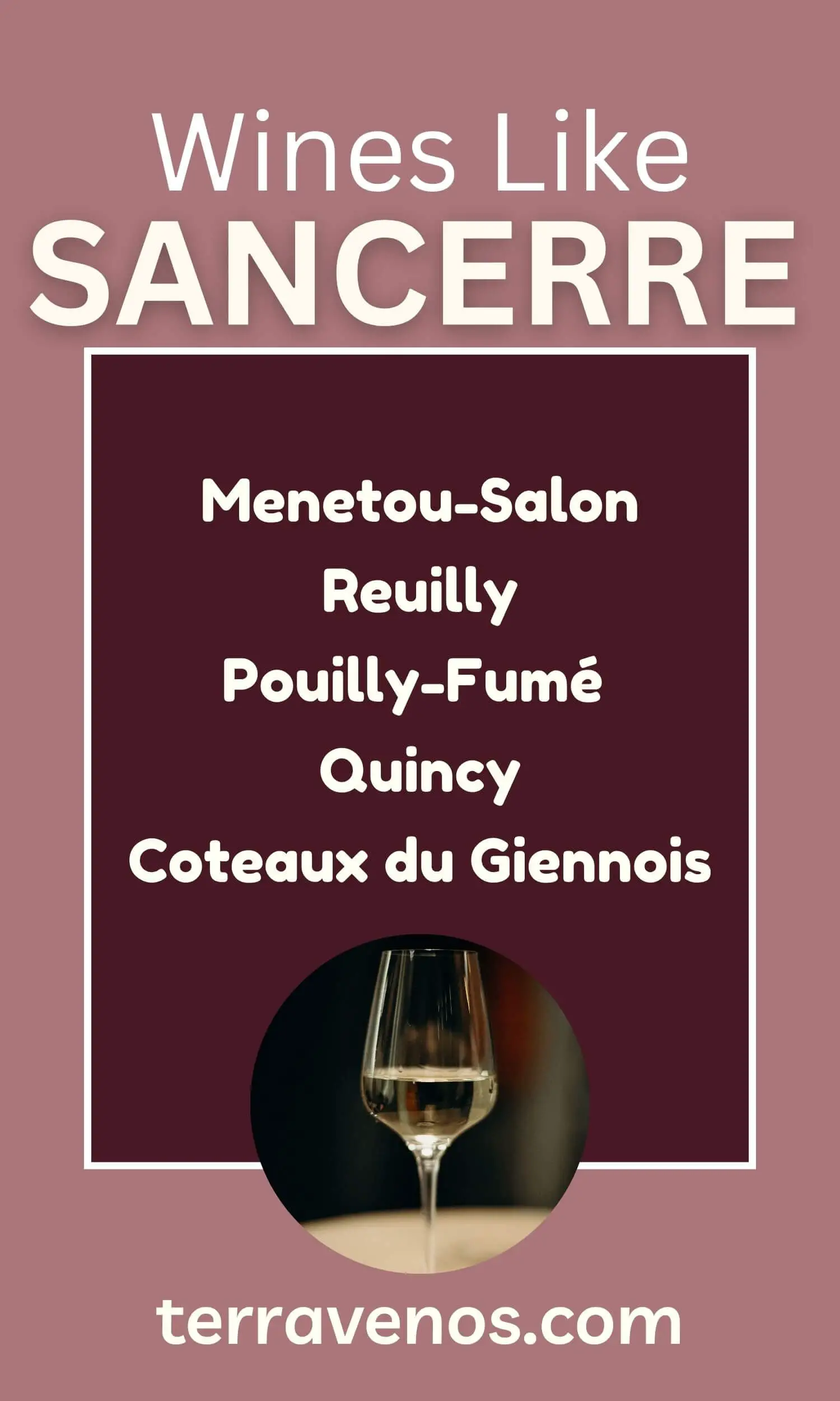 wines like sancerre infographic