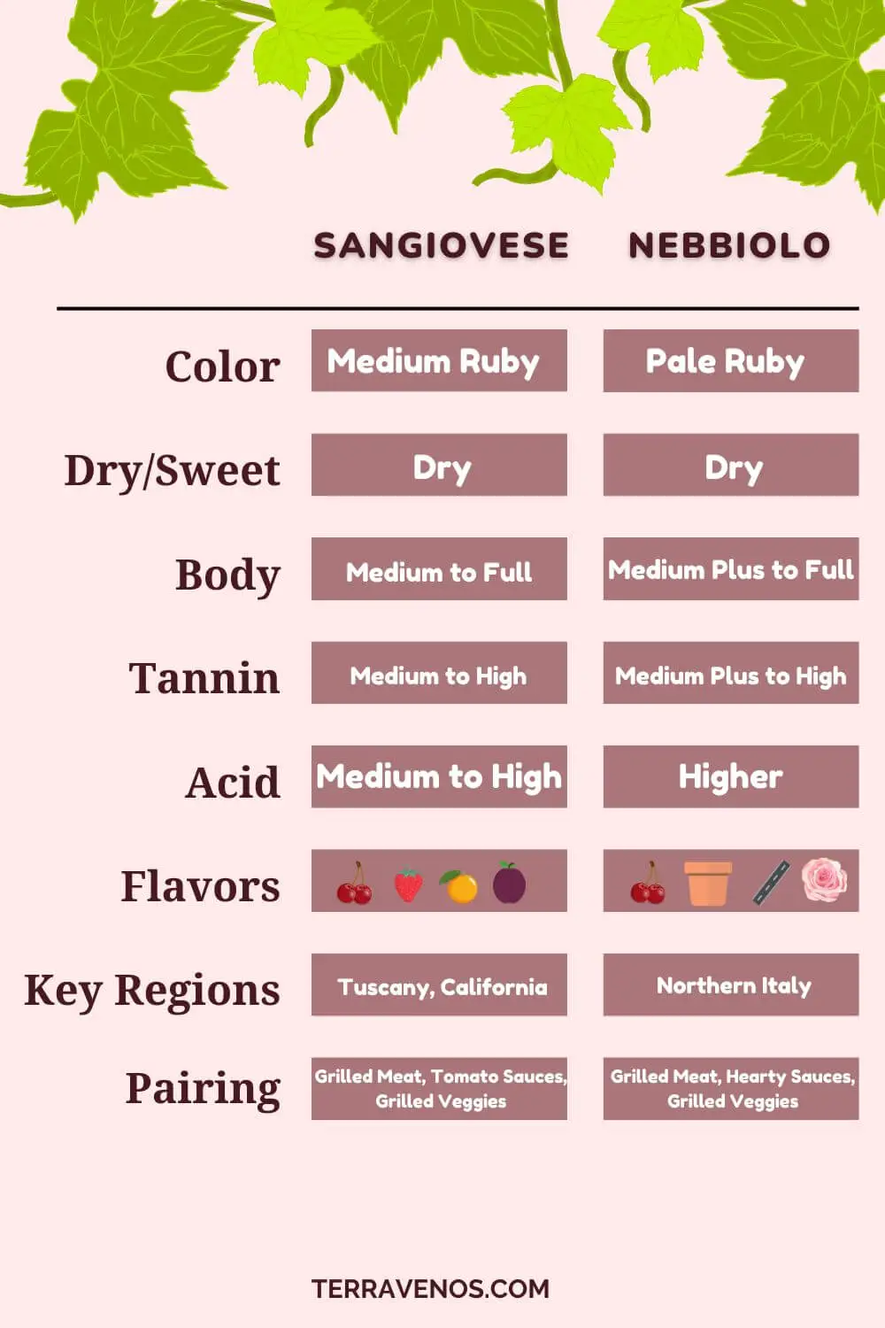 sangiovese versus nebbiolo infographic