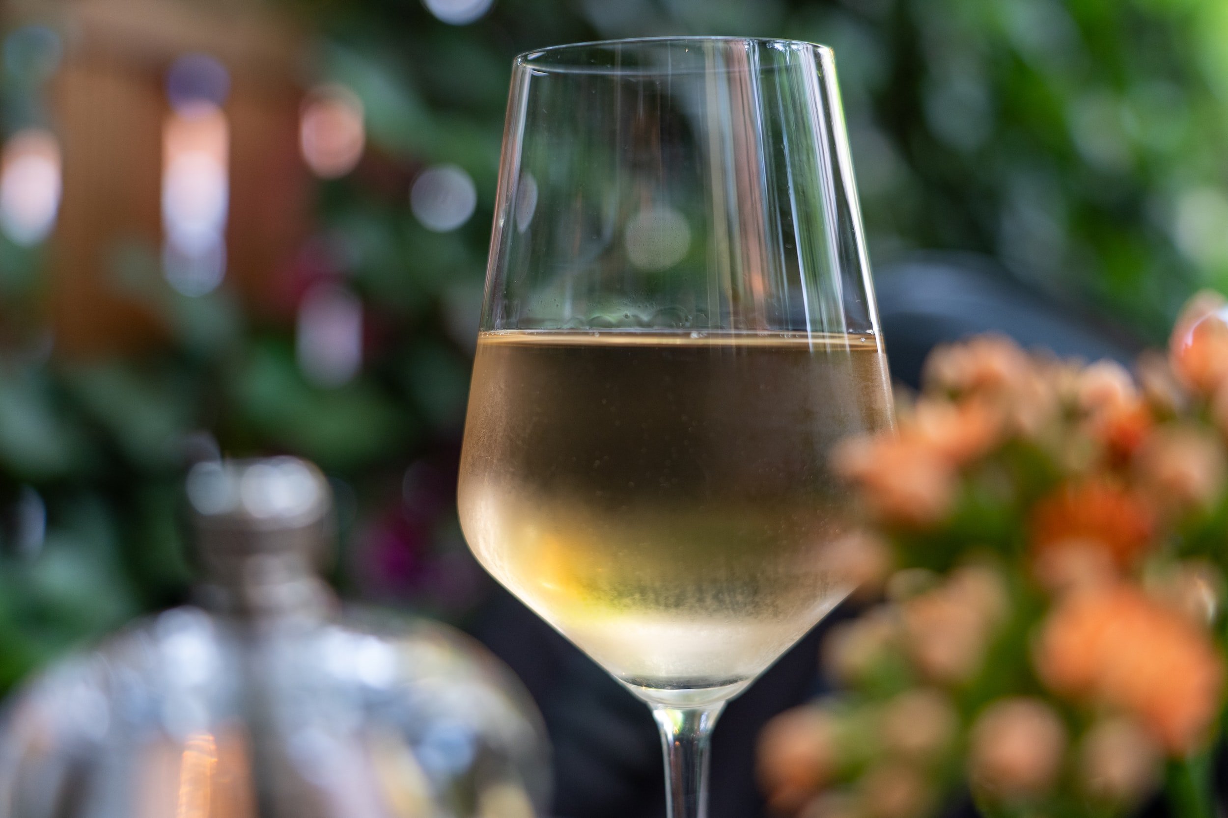 riesling vs gruner veltliner - white wine glass