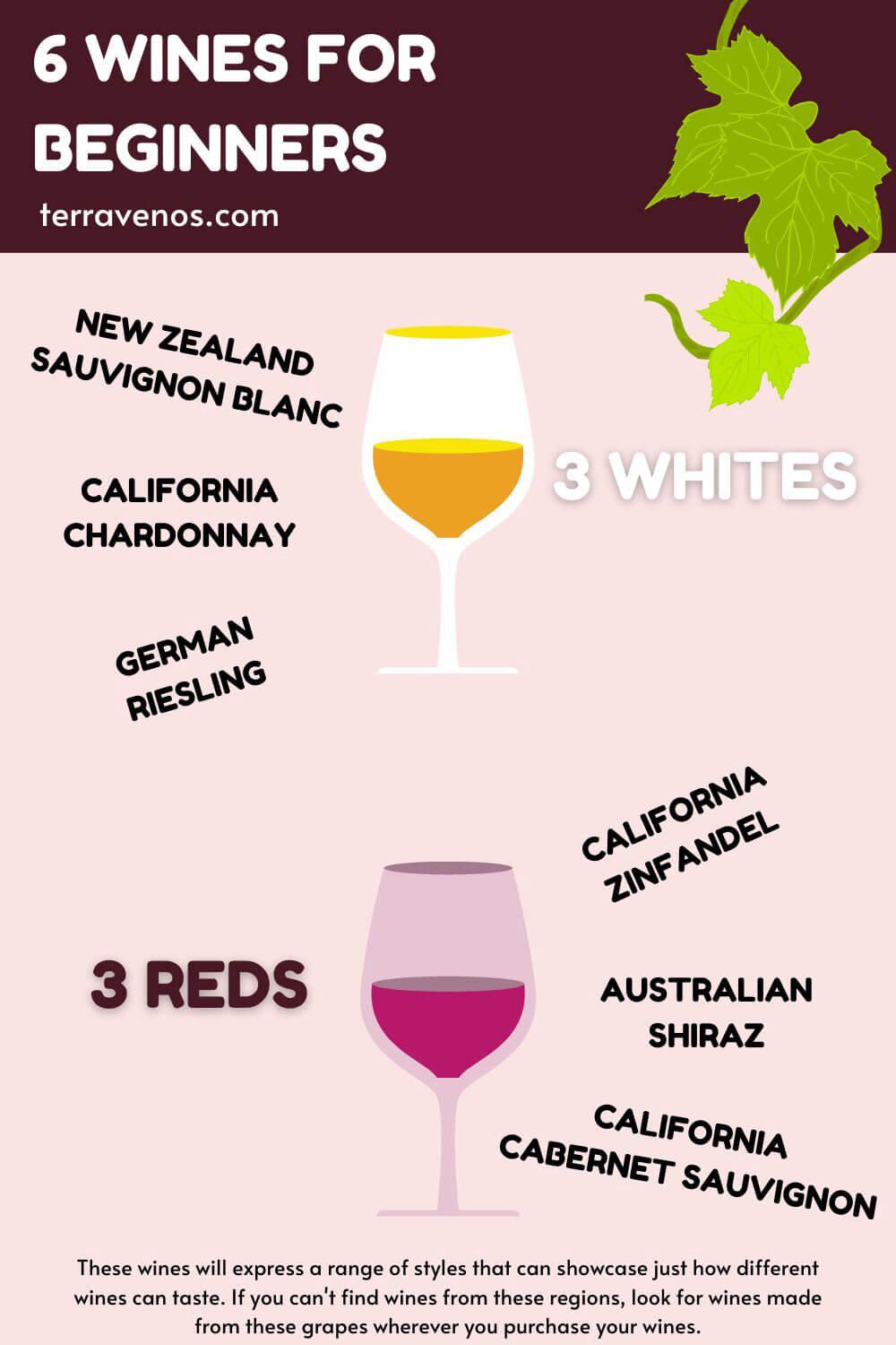 https://terravenos.com/wp-content/uploads/2023/09/wines-for-beginners-infographic.jpg?ezimgfmt=rs%3Adevice%2Frscb1-2