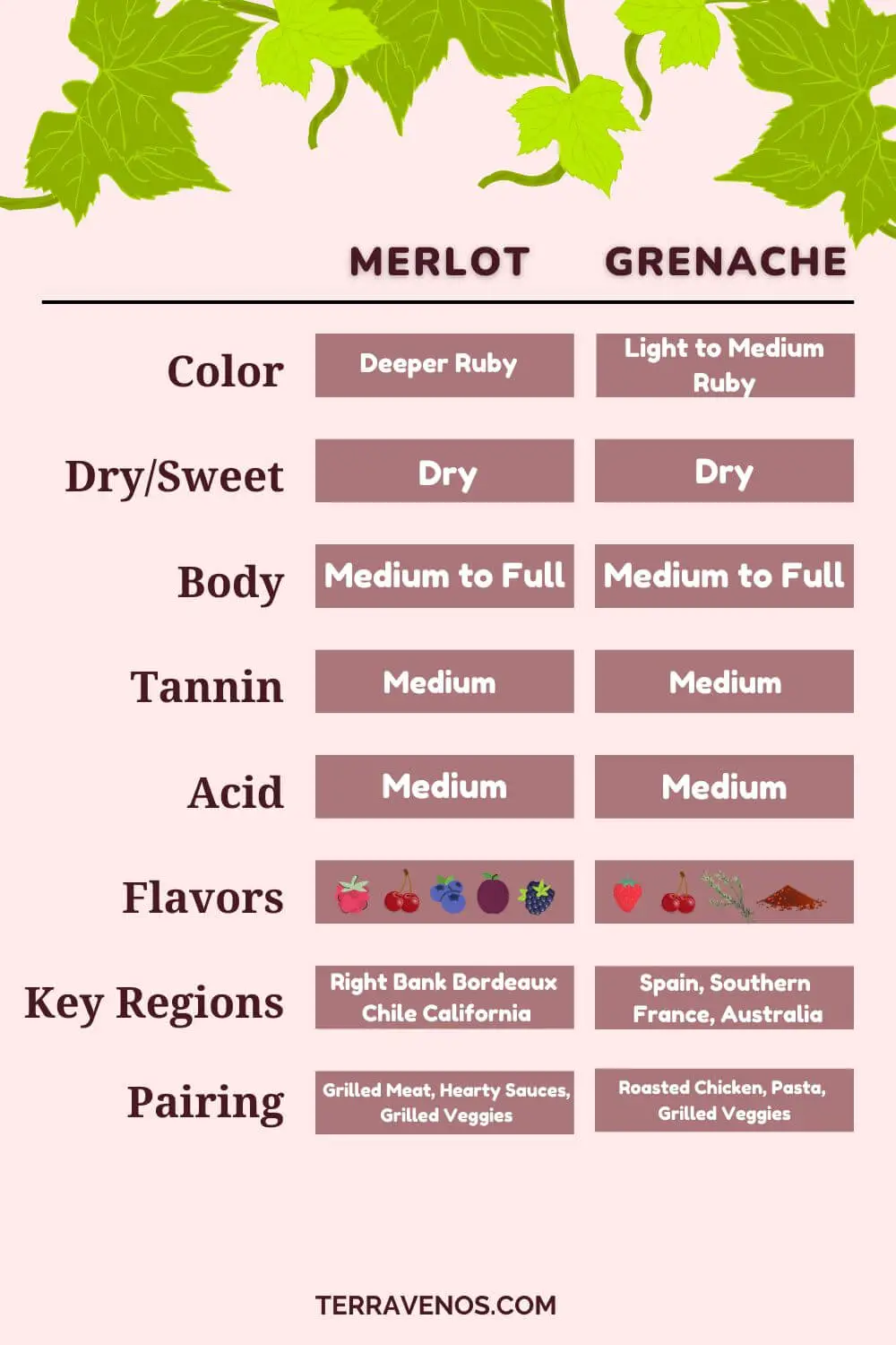 grenache vs merlot infographic