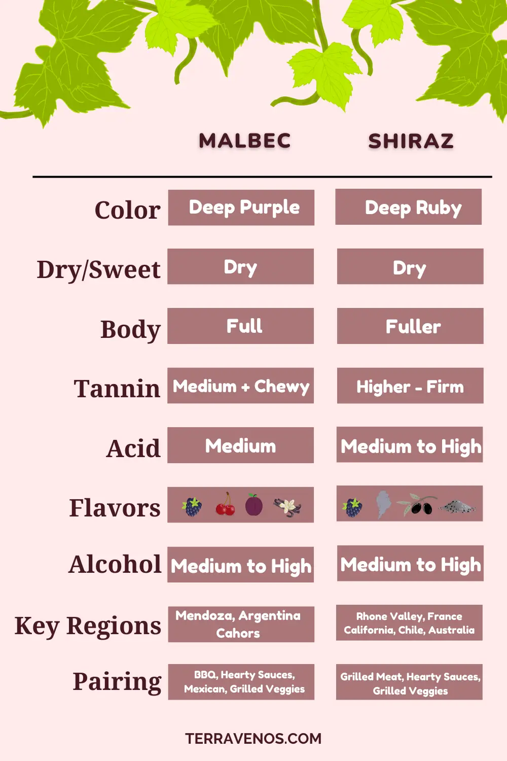 Shiraz vs Malbec - infographic