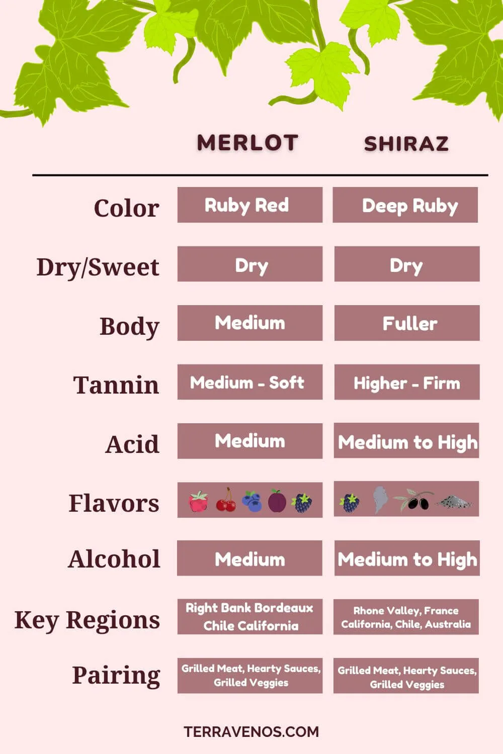 Shiraz-vs-merlot-infographic-comaparison