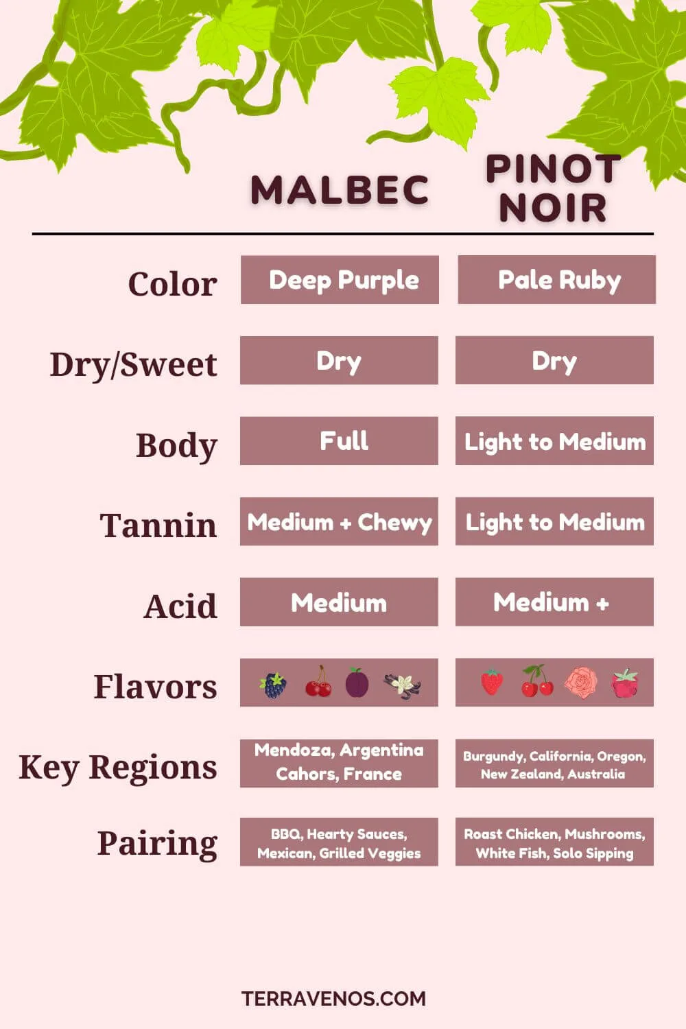 malbec-vs-pinot-noir-infographic