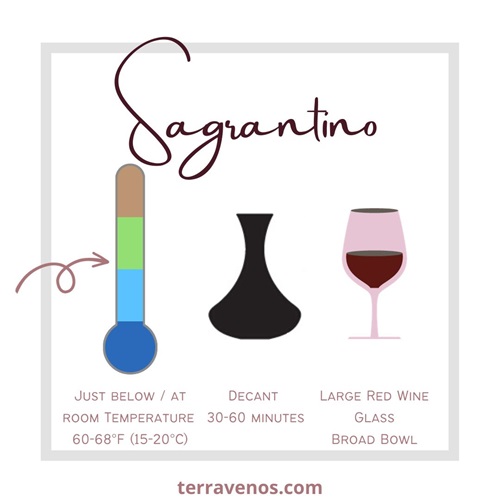 how-to-serve-sagrantino-wine-infographic