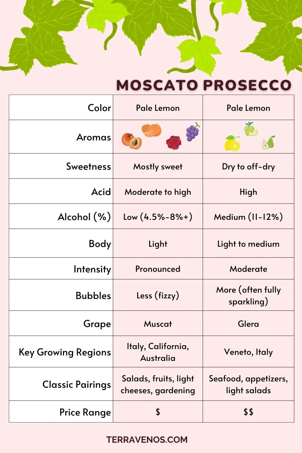 Moscato vs Prosecco - infographic