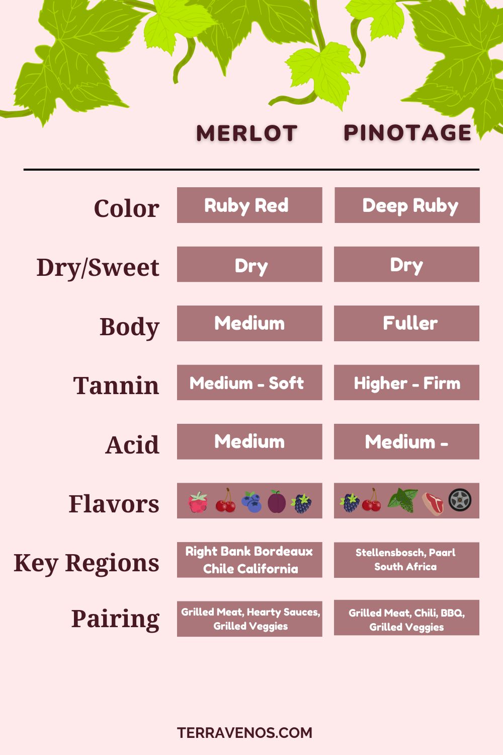 Pinotage-vs-merlot-comparison-wine-infographic