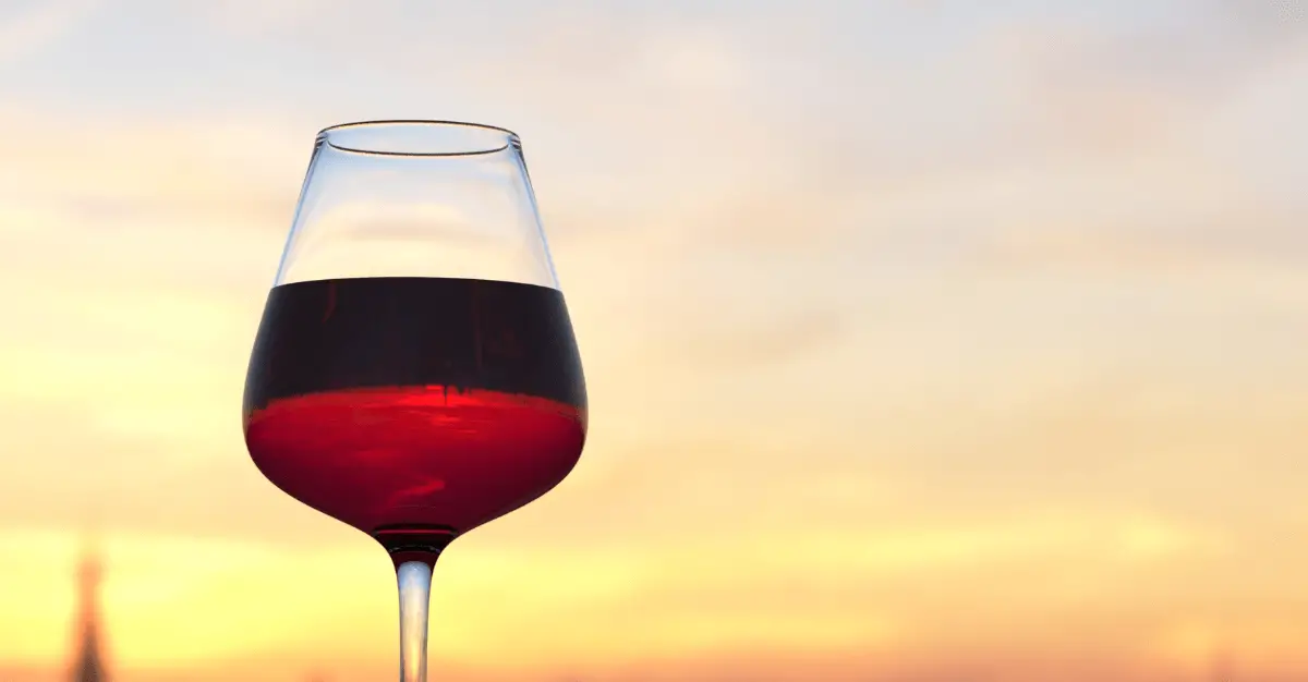Summer Red Wines: 10 Best Options