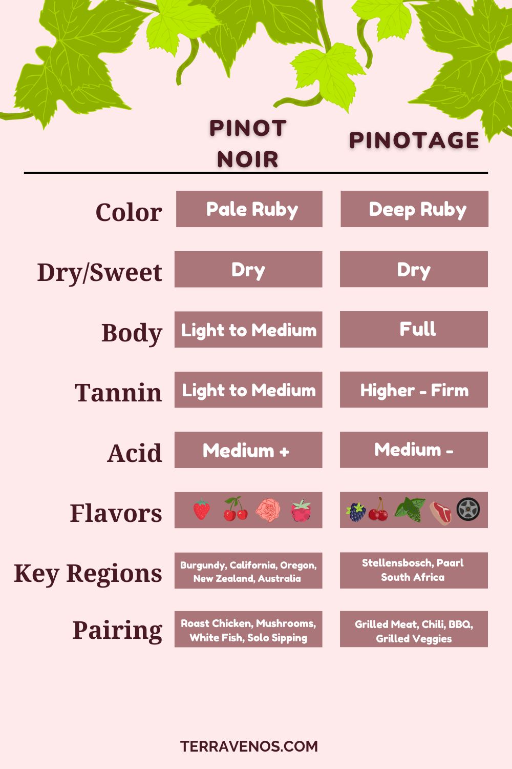 pinotage-vs-pinot-noir-infographic