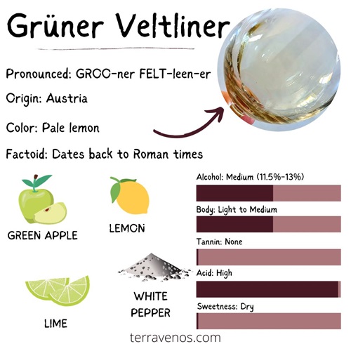 Gr ner Veltliner A Comprehensive Guide Gr ner Veltliner A Comprehensive Guide