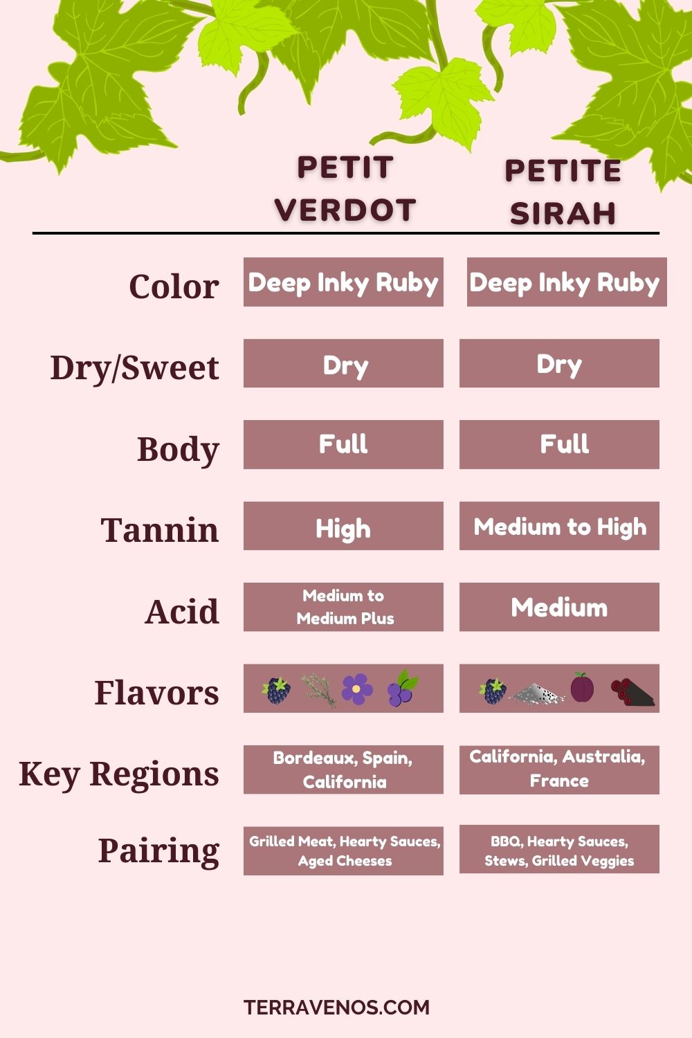 petit verdot vs petite sirah wine comparison infographic