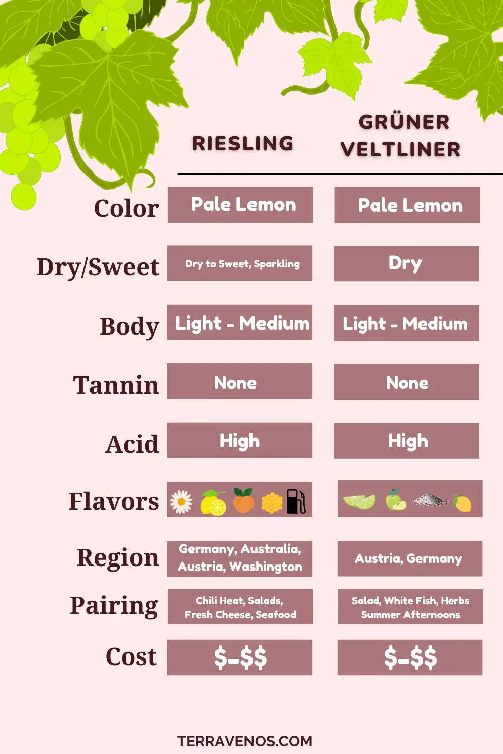 gruner-veltliner-vs-riesling-infographic