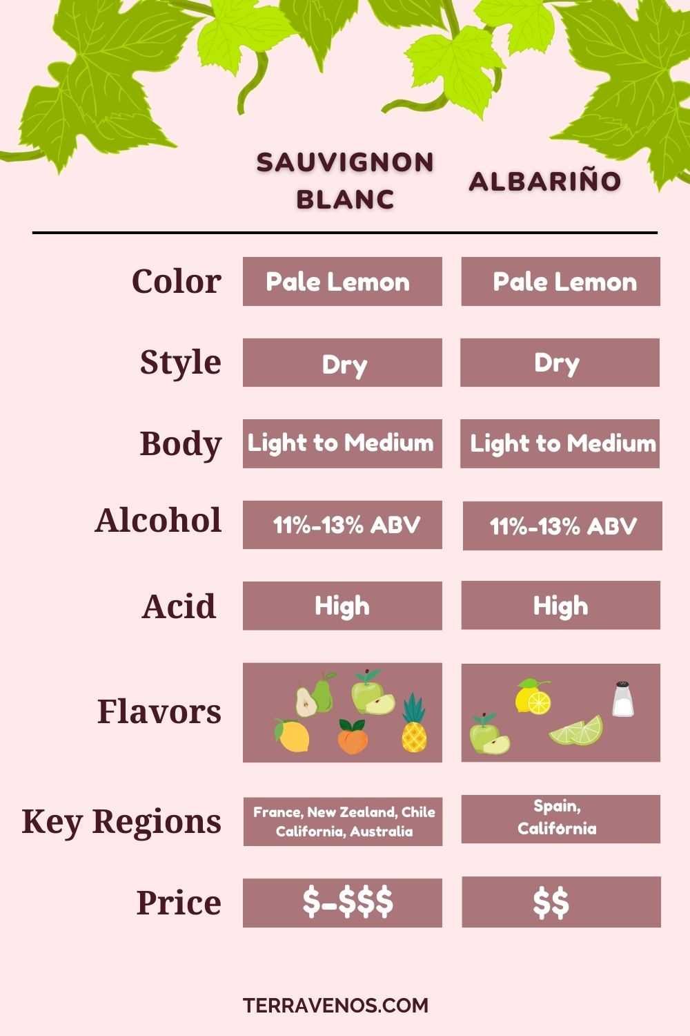 albarino-vs-sauvignon-blanc-wine-comparison-infographic